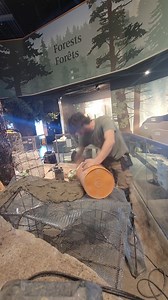 231K views · 2.3K reactions | Creating a faux boulder for an animal enclosure at Science North 蝹 #rockscapescanada #rockreplica #fauxrock #construction #design #build #artist #art #artificialrock #concrete #fauxboulder #fakeboulder #texture | Rockscapes | Facebook