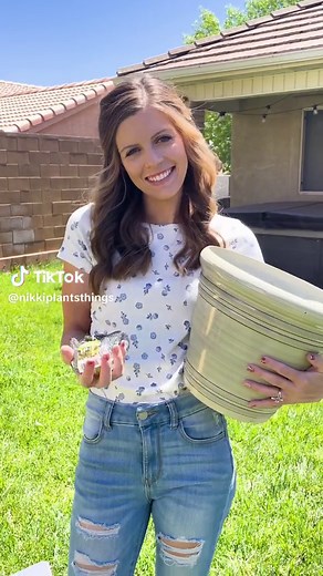 How to Enhance Humidity for Your Indoor Plants with a Cute DIY Trick!