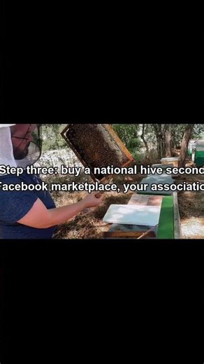 How to Start Beekeeping in the UK Comple