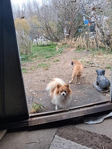 And then there's moments where everything goes well and everyone has fun together ❤️ | Vanessa Clark Hintz