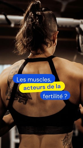 Scilabus 🇫🇷🇨🇦 on Instagram: "Les muscles seraient un acteur de la fertilité 💪 On revient sur les meilleures découvertes scientifiques de 2025 dans notre émission d'actu scientifique, Avec des Sci ! Écoutez l'émission entière sur YouTube (chaîne Sci+) où sur votre plateforme de podcast préférée. Et si une actu vous fait rêver plus que les autres, rendez-vous sur le site web de Québec Science pour la nominer ! #science #sciences #avecdessci #actuscientifique #actuscience"