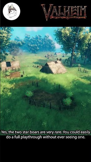 Finding Two Star Boars #valheim #valheimguide