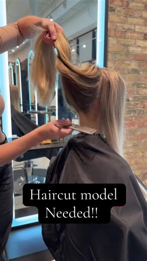 Seeking Haircut Model in North Loop Minneapolis