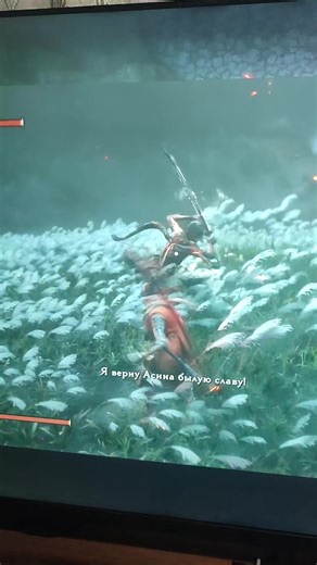 Sekiro Shadows dle twice (Финальный босс) | sekiro