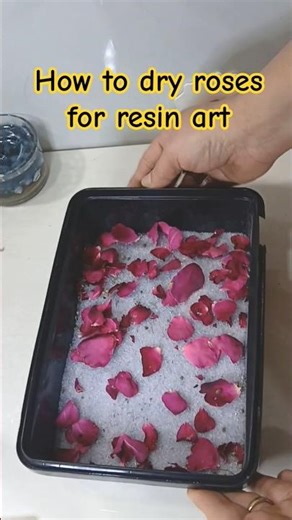 Dry Roses for Resin Art 🌸आसान तरीका #resinart #driedflowers#shortsfeed