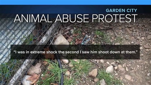 Today in your neighborhood: Animal abuse protest in Garden City & overnight closure on I-84