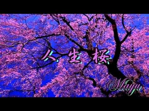 人生桜 「中村美律子」 Mayu