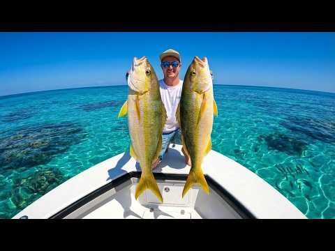 How We Catch a LIMIT of Yellowtail Snapper While LIVE STREAMING *Catch, Clean & Cook*