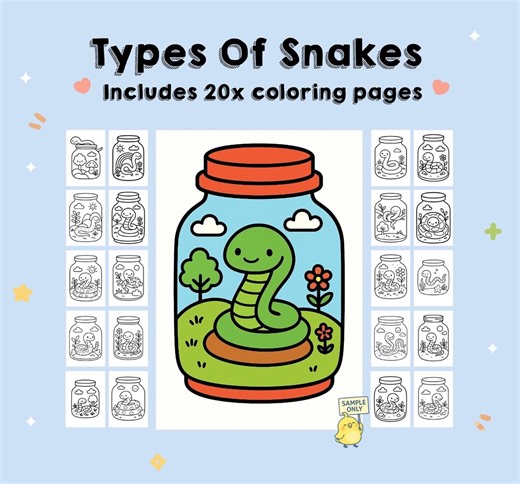Types of Snakes Jar Coloring Pages | Reptile Coloring Book for Kids, Teens & Adults | Printable - Etsy Australia