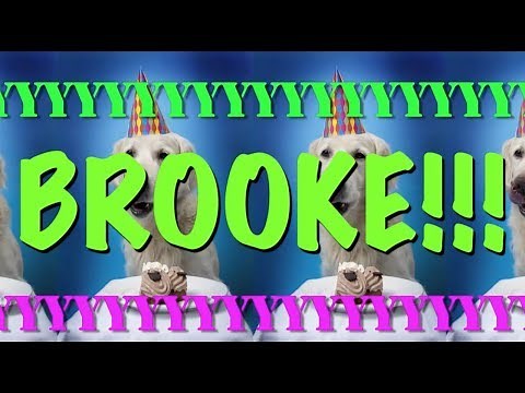 HAPPY BIRTHDAY BROOKE! - EPIC Happy Birthday Song