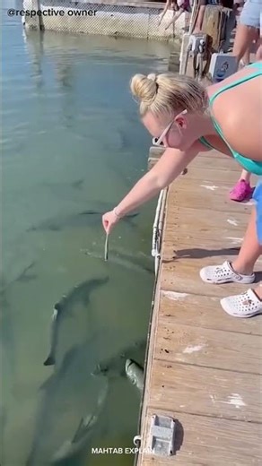 Auntie’s Scary Moment at the SeashoreThe Little Fish That Caused Big Fear