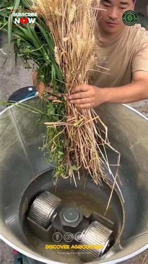 Amazing Pellet Feed Making Machine