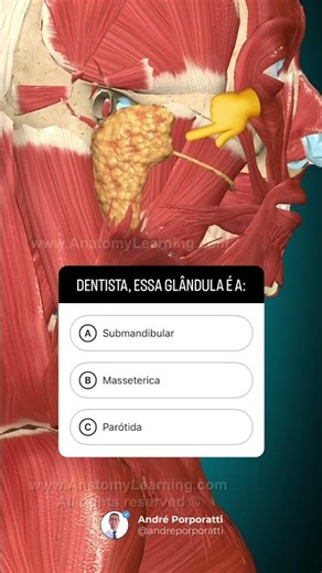 🦷 Curso online completo com 50% de desconto e acesso vitalício!