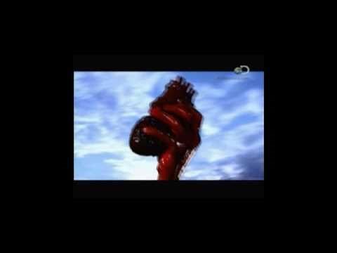 Sacrificios humanos aztecas