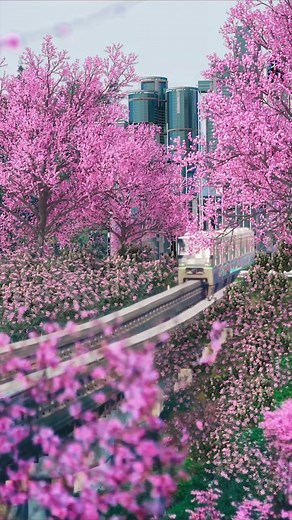 1.5K views · 78 reactions | Welcome to the "8D Magical City", Chongqing! Join the journey to uncover the historical imprints and modern allure of Yuzhong, our beloved mother city of Chongqing.❤️ #Chongqing #magic #tech #city | iChongqing | Facebook