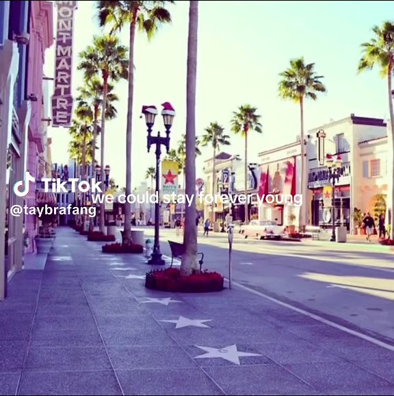 Summer Vibes: Enjoying the California Sunshine