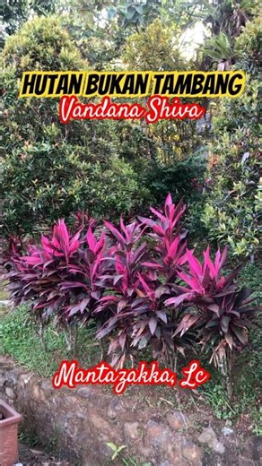 Forests are not mines - Vandana Shiva | Today's Inspiration #shortsfeed #trending #viralvideo