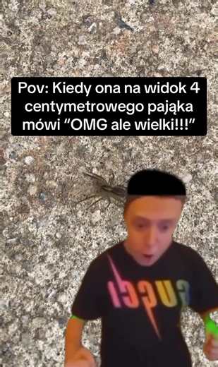 Funny Reactions to Small Spiders