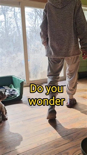 Emotional Rescue Dogs Teach Newbies