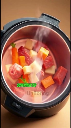 How A Pressure Cooker Cooks Food So Quickly 🥘