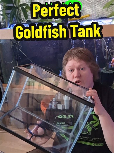 Is This Tank Too Small for Goldfish?