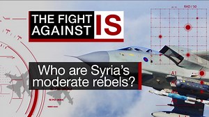 Who are Syria's moderate rebels?