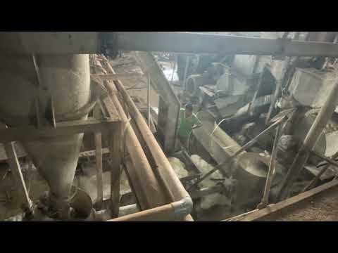 2. Rasping and Pulp Separation Stage