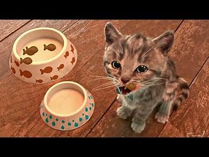 Játékos kaland babacicával! 😸 - Cicás játék végigjátszás gyerekeknek