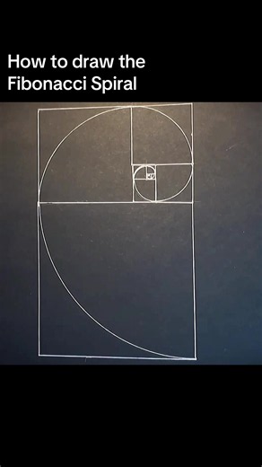 How to draw the Fibonacci Spiral Golden Rectangle #natureofflowers #howtodraw #fibonnaci