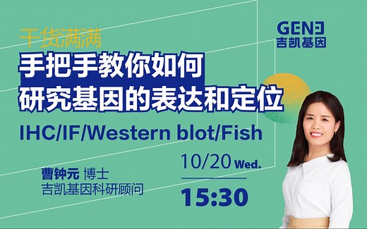 手把手教你如何研究基因的表达和定位