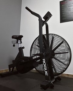 Rogue Echo Bike | Garage Gym Reviews