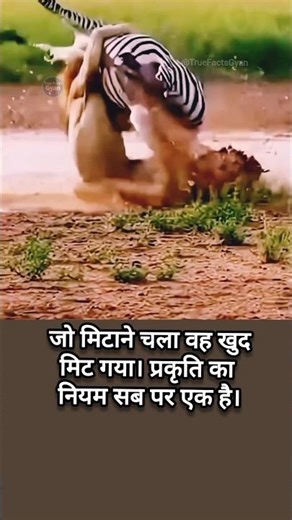 जीवन का नियम..#motivation #inspiration #dhurandhar #lifetruth #shorts #shortsfeed #treanding