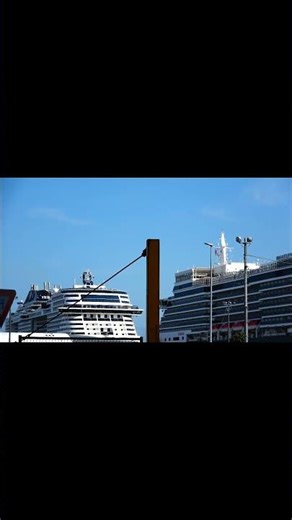 横浜の風景・季節の彩をりを眺めて歩く 横浜観光 #shorts @bellskybiz