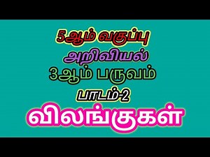 🛑5th Std Science 3rd term lesson 2 விலங்குகள் book back question answers 🛑