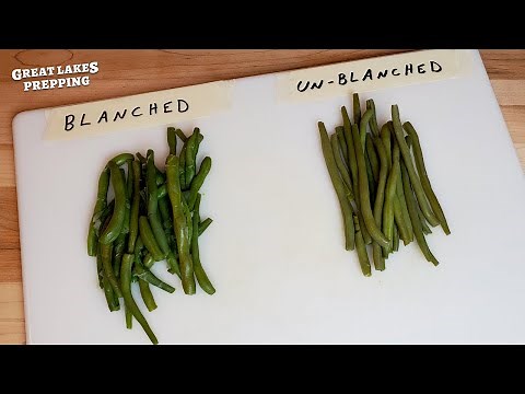 Freezing Green Beans: Blanched vs. Unblanched Comparison & Taste Test