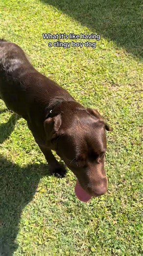 It's Me Woody on Reels