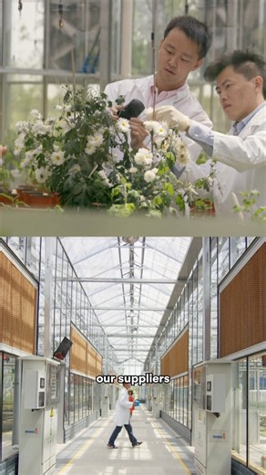 🔬 Research and innovation at every step. At Amway, our scientists collaborate to study and select every ingredient. We’re constantly exploring new ingredients and technologies, ensuring every formula is documented, substantiated, and designed to deliver real, science-backed benefits for your skin 🌿✨ #KnowAmway #KnowAmwaySG #KnowAmwaySingapore #AmwaySingapore #AmwaySG #Nutrilite #Artistry #eSpring #Satinique | Amway Singapore