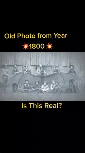 Mysterious Old Photo of Dinosaur from 1800: Real or Fake?