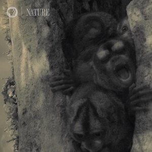 Daylight saving time begins tomorrow -- Don't forget to set your clocks and go to sleep early tonight! (You'll thank yourself on Monday.) | Nature | PBS