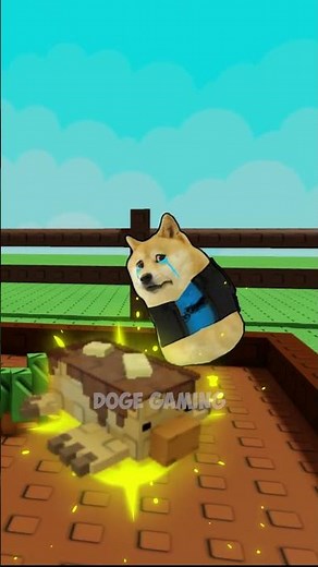 bad day in roblox😔 | Doge Gaming