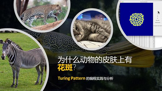 图灵斑图 - 动物斑纹的形成原因