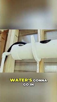 DIY Hydroponics: Build Your Own Water Circulation System! #shorts