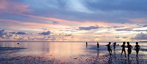 加入我们关于新《气候变化行动计划》的对话