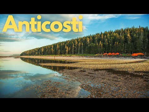 Discovering Anticosti Island: A Fossil Treasure in Canada