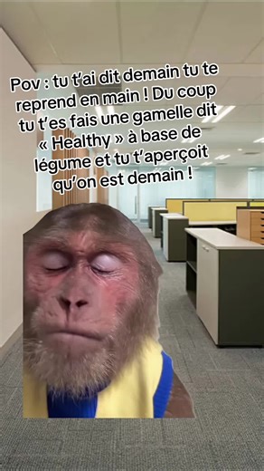 #MemeCut #Meme #humour #drole #gamelle épisode 38 : on peut passer à après demain ?