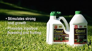 9K views · 68 reactions | Seasol is a gardener’s best friend coming into the warmer months. It is a complete garden health treatment that, among other things, promotes strong healthy root growth and helps plants cope with all kinds of stress, such as heat and drought. Our garden expert Nigel Ruck has the low down on everything this amazing product can do for your garden. | Seasol | Facebook