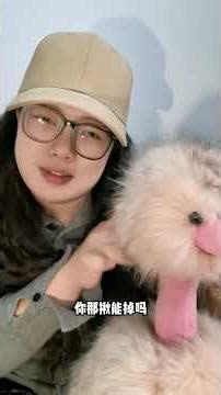 Chou Chou's Classroom Live! Join the Learning Adventure