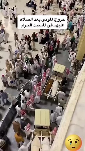 mohamedserasislam (@mohamedserasislam)’s videos with original sound - mohamedserasislam