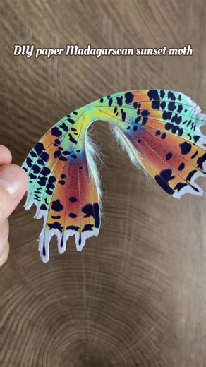 Crafting a Stunning Madagascan Sunset Moth from Paper