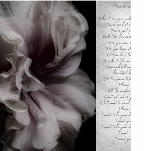 Exploring Samurai Swords in Japanese Aesthetics